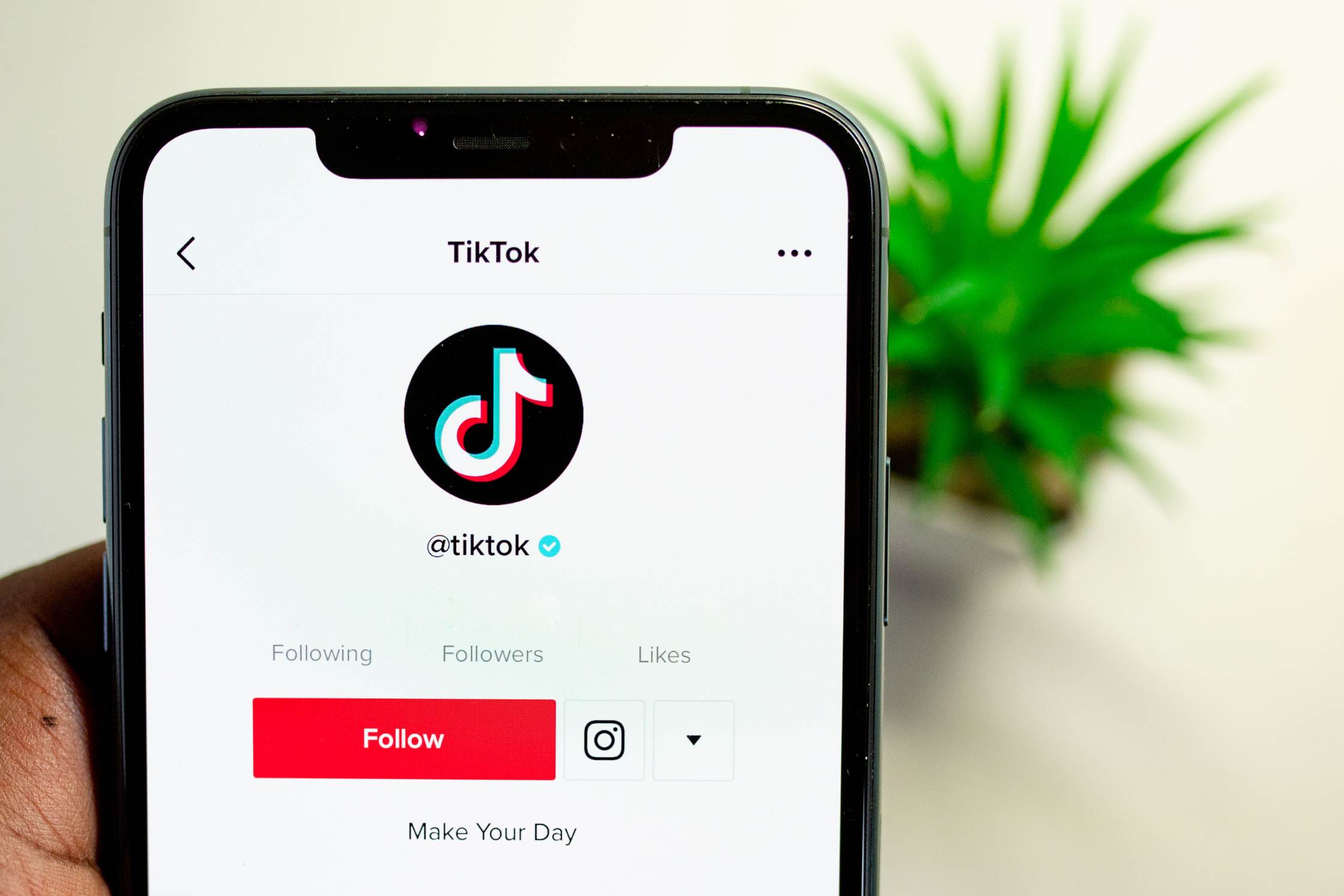 Lees onze blog TikTok in 2023: Het succes en de potentie in 10 statistieken, natuurlijk bij YoungSparks online marketing uit Alkmaar